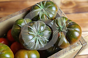 Closeup of isolated group dark black beef cabomar tomatoes in rustic wood box, brown wooden planks background