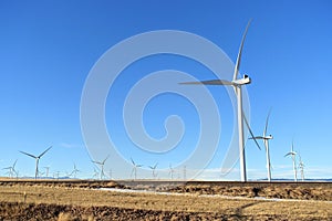 A closeup isolated horizontal photo of Wind turbines in Alberta, Canada. Renewable energy concept.