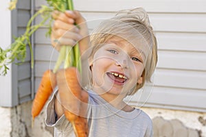 Isolated portrait of a handsome blonde caucasian boy with bunch of carrots