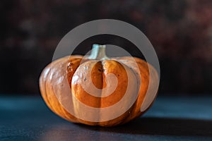Closeup of an isolated pumpkin on a rustic wood background with copy space. Natural light