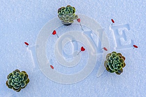 Closeup of Isolated Word & x22;Love& x22; from Wooden Pieces in the Snow on Sunny Winter Day with White Background with Red Heart