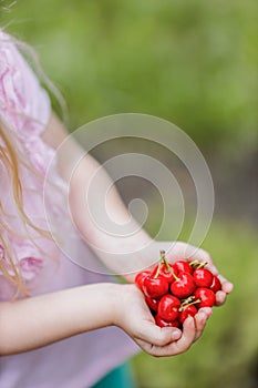 Closeup of a ittle blond girl holding cherries in her hands