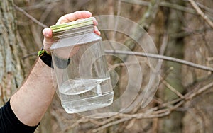Closeup of jar of maple sap for maple syrup photo