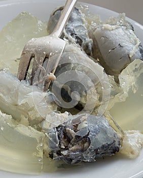 Closeup jellied eels