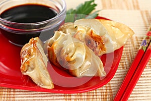 Closeup of Juicy Chinese Fried Potstickers