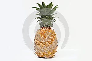 Closeup of Juicy Pineapple on White Background.