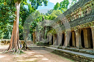 Closeup of Khmer ruins at Ta Prohm temple in Angkor Wat, Cambodia