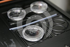 Closeup of lab equipment for scientific research with fluids