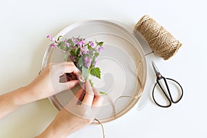 Closeup of Lamium amplexicaule, commonly known as common henbit, or greater henbit, earthenware plate on white table