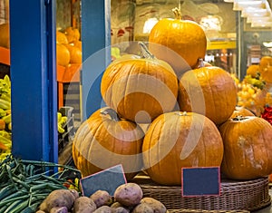 Closeup of large pile of orange pumpkins at a pumpkin stand at the farmers market in autumn. Empty plates for price