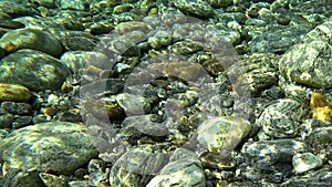 Closeup large smooth rocks on bottom under poure water of mountain river Verzaska.