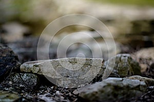 Closeup of a large stone with blurred Copyspace