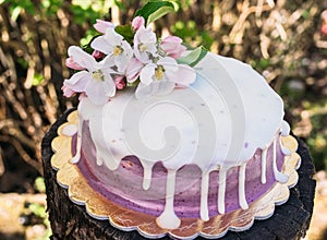 Closeup of the  lavender cheesecake