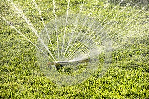 Closeup of lawn water sprinkler spraying water on healthy green grass in summer