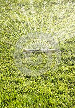 Closeup of lawn water sprinkler spraying water on healthy green grass in summer
