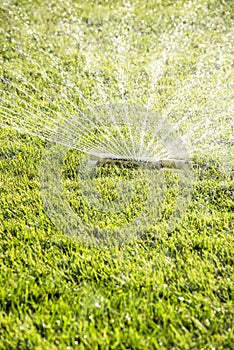 Closeup of lawn water sprinkler spraying water on healthy green grass in summer