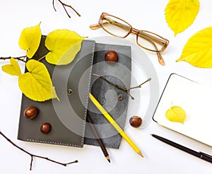 Closeup of leather pen case, notebook and glasses on white background. Autumn decoration. Top view, flat lay