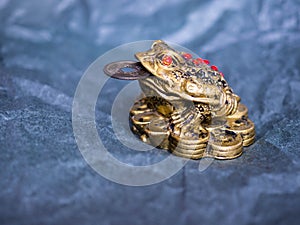 Closeup of legendary feng shui money toad