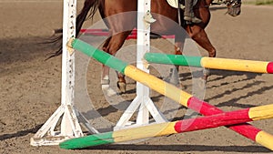 Closeup of legs of horse in training at horse farm