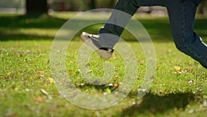 Closeup legs kicking football ball on green field. Summer active weekend in park