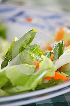 Closeup of lettuce leaves and carrots, a vertical shot