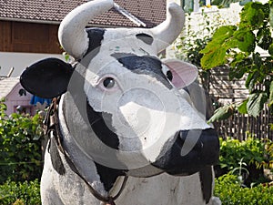Closeup of a life-size decorative cow with bell, looking aside