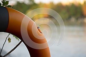 A closeup of a Lifesaver with blurry background