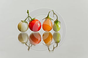 Closeup of a line of red, green and orange cherry tomatoes on a vine on a reflecting surface