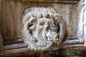 Closeup of a lion fountain in a historic building Ciutat Vella, Barcelona photo