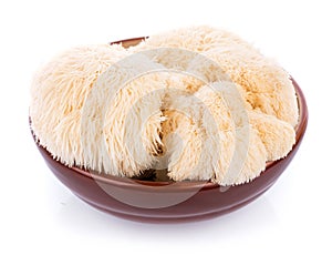 Lion mane mushroom isolated on white background photo