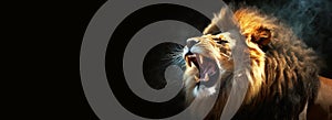 Closeup of a Lion Roaring on a Dark Background with Copy Space - Generative Ai