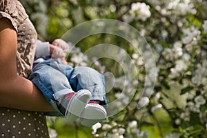 Closeup of little baby in sneakers on the hands of his young mother. Mum with child in the blooming apple garden