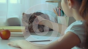 Closeup of little girl drawing a picture and stroking her pet cat