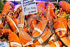 Closeup of lobsters in Borough Market in London photo