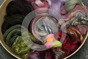 Closeup of lots of beautiful sheep wool fibres in a roving ready for spinning yarn