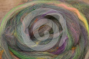 Closeup of lots of beautiful sheep wool fibres in a roving ready for spinning yarn