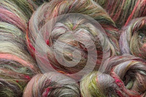 Closeup of lots of beautiful sheep wool fibres in a roving ready for spinning yarn