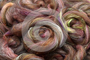 Closeup of lots of beautiful sheep woolfibres in a roving ready for spinning yarn on a spinning wheel as a hobby