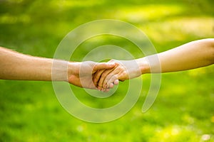 Closeup of loving couples holding hands while walking. Couple holding hands in the park. Hands, couples. Couple hold