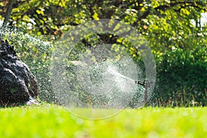 Closeup low angle view of automatic lawn sprinkler watering