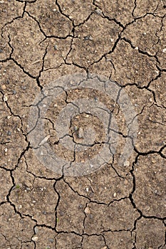 Closeup macro background texture of dry cracked ground dirt in hot summer