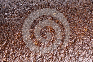 closeup macro detail of blank brown bread texture background