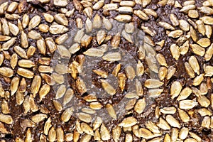 closeup macro detail of blank brown bread texture background