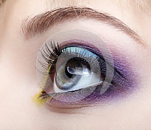 Closeup macro image of human female eye with violet, blue and an