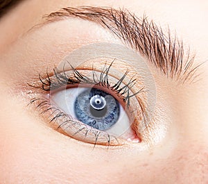 Closeup macro portrait of female face. Human woman blue eye with