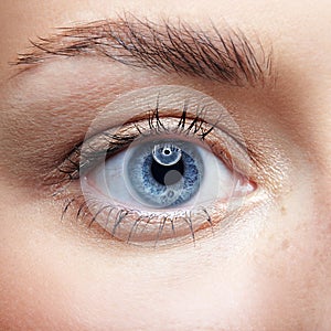 Closeup macro portrait of female face. Human woman blue eye with