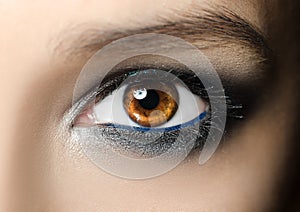 Closeup macro portrait of female face. Human woman eye with beauty makeup and long natural eyelashes. Girl with perfect