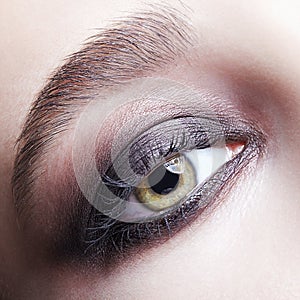 Closeup macro portrait of human female eye with violet - black smoky eyes make-up