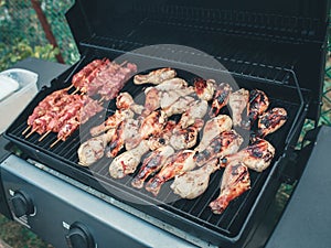 Closeup macro of raw meat barbecue chicken legs grill fire