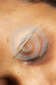 Closeup macro shot of closed human female eye. close up of patchy eyebrow